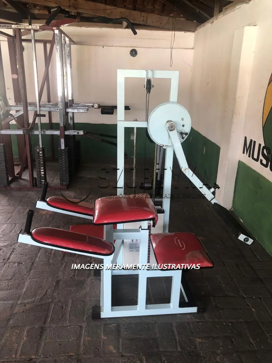 LOTE 001 - APARELHOS DE GINÁSTICA E MUSCULAÇÃO