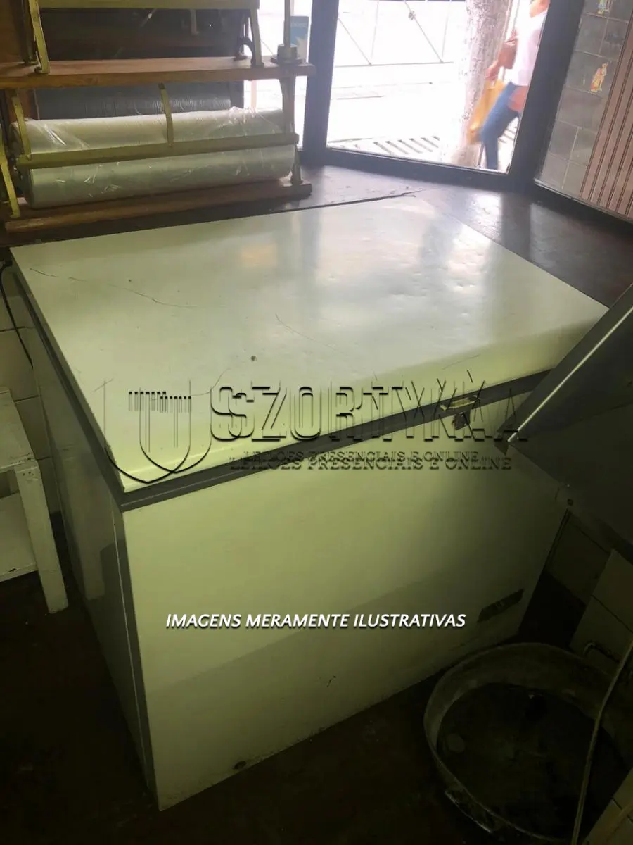 LOTE 19 - 01 freezer com uma abertura.