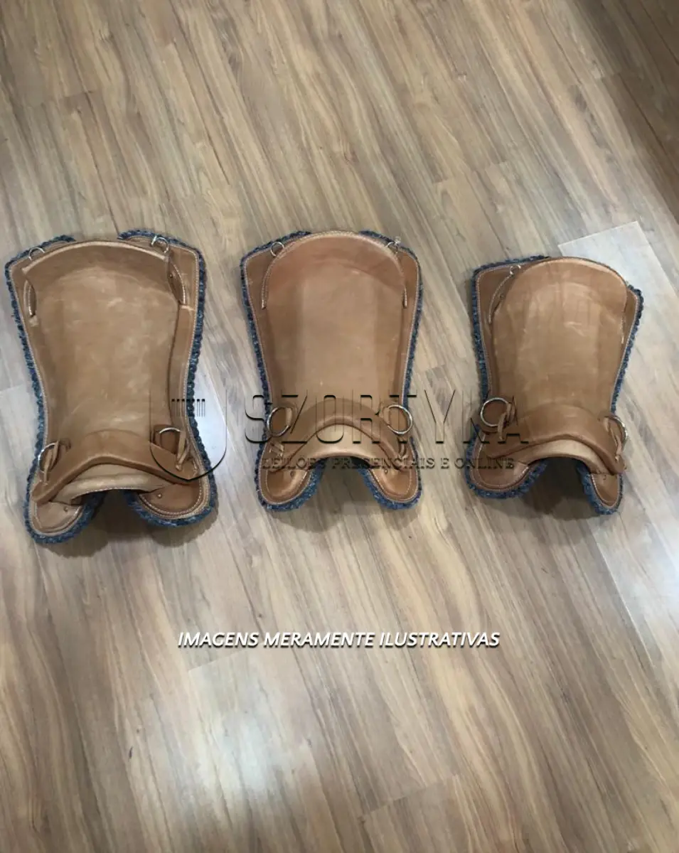 LOTE 004 - 03 SELAS MARCA CAMAQUENSE.