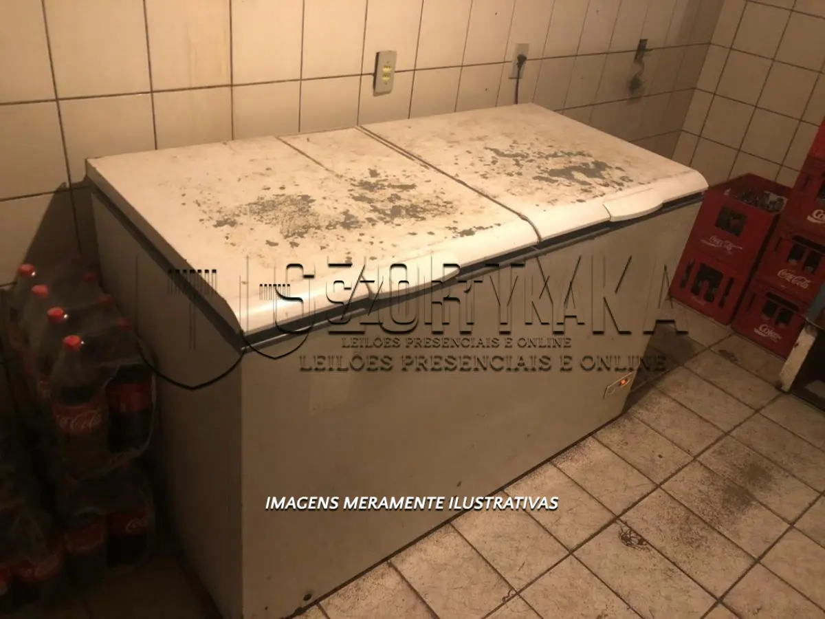 LOTE 11 - 01 freezer horizontal com duas tampas.