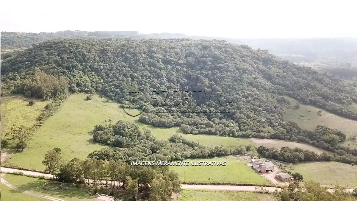 LOTE 001 - 08 HECTARES DE TERRAS EM DOM FELICIANO