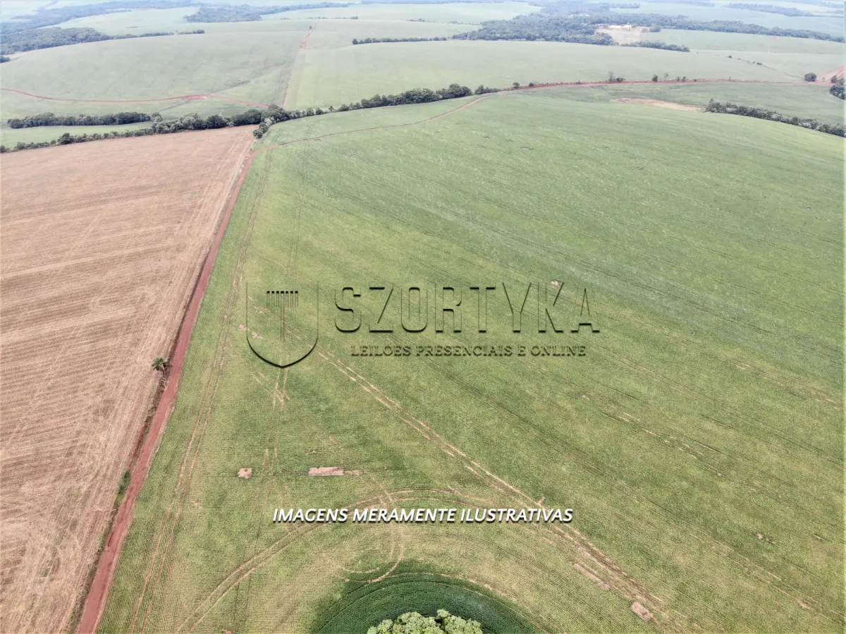 LOTE 001 - UMA FRAÇÃO DE TERRAS COM 24has 79as EM PEJUÇARA/RS