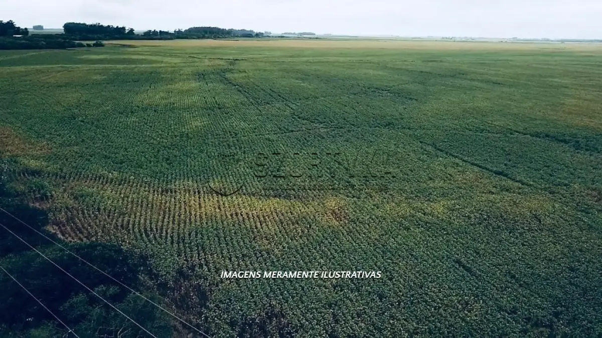 LOTE 001 - UMA FRAÇÃO DE TERRAS COM 40,00,25 HA PRÓXIMO A CAMAQUÃ