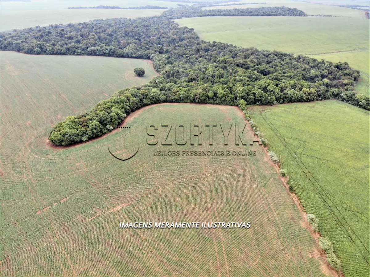 LOTE 001 - UMA FRAÇÃO DE TERRAS COM 12has 60as EM PEJUÇARA/RS
