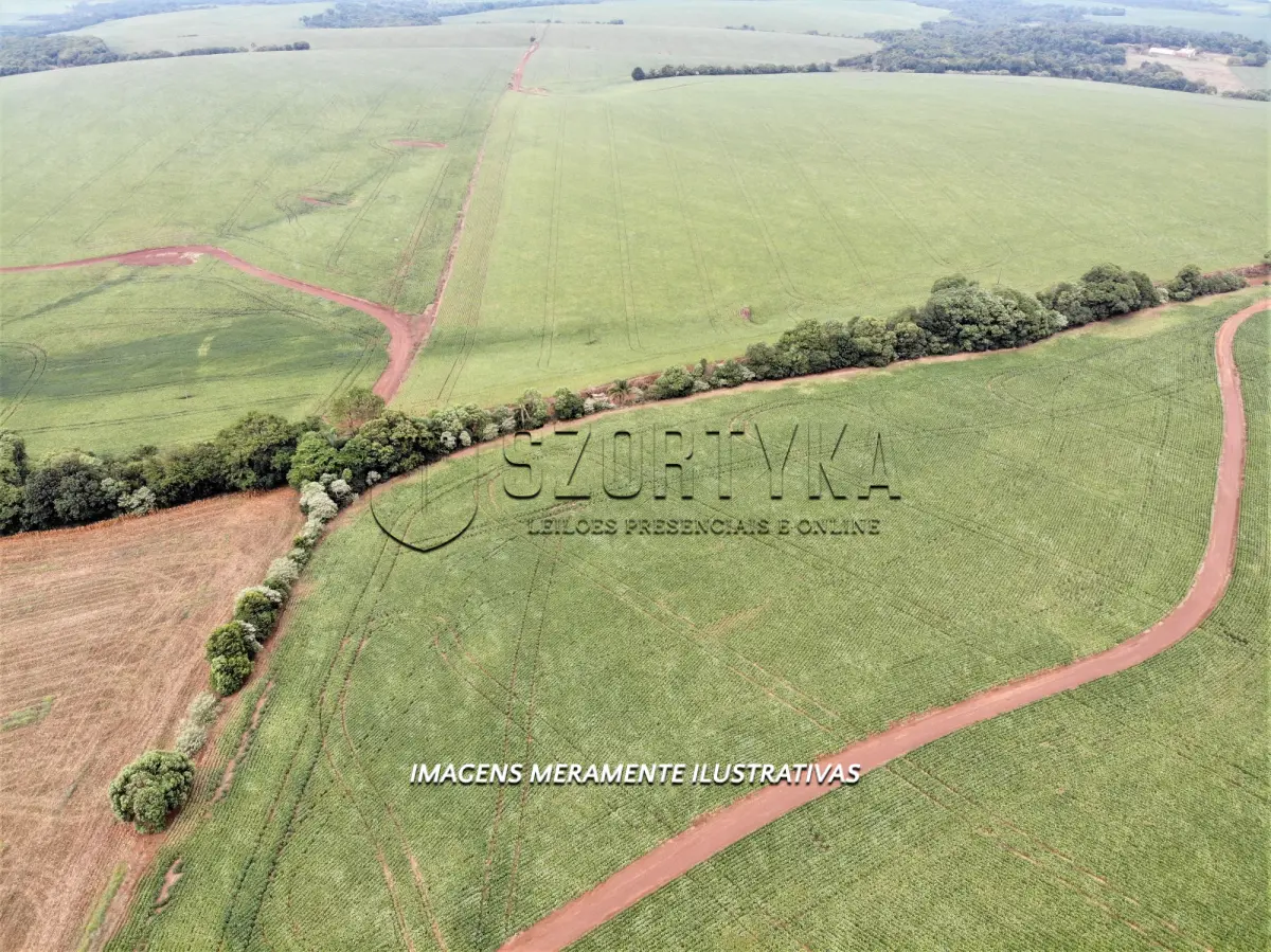 LOTE 001 - UMA FRAÇÃO DE TERRAS COM 24has 79as EM PEJUÇARA/RS