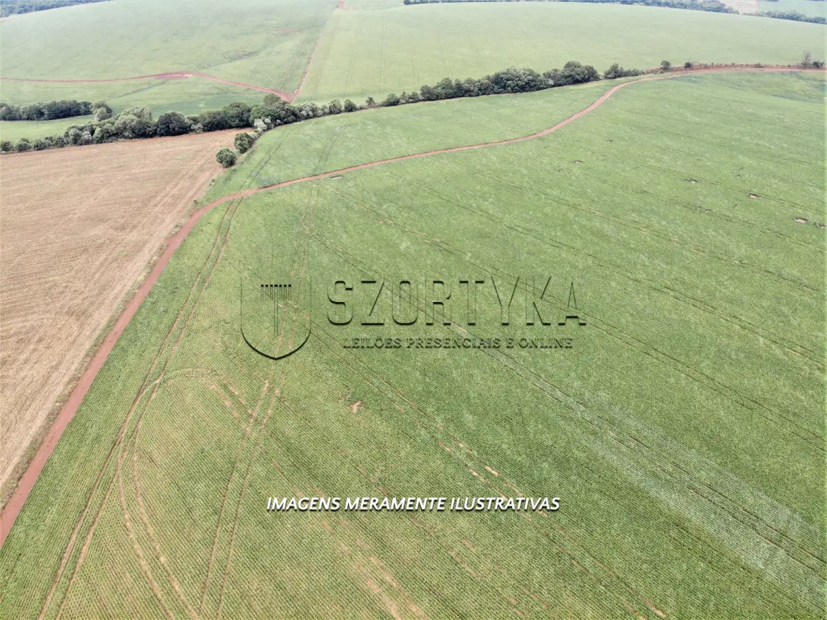 LOTE 001 - UMA FRAÇÃO DE TERRAS COM 24has 79as EM PEJUÇARA/RS