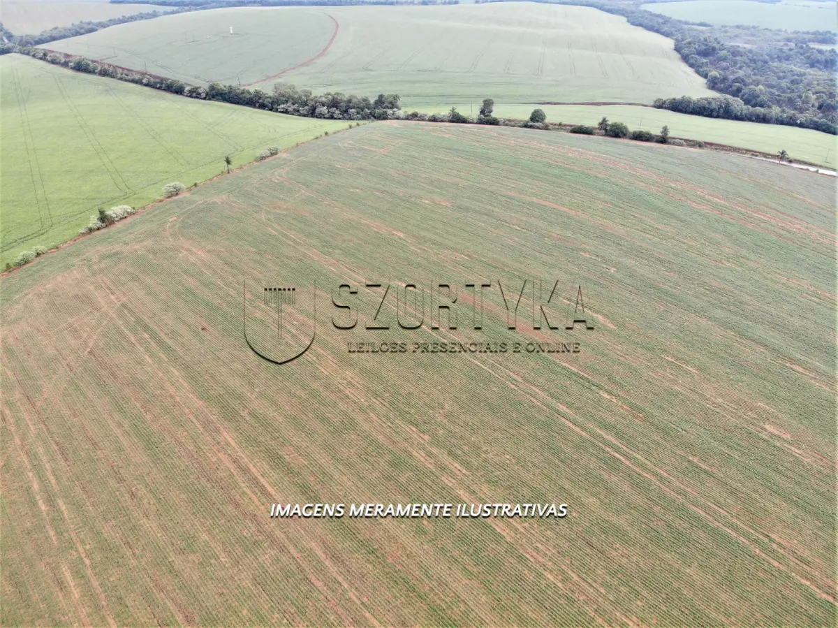 LOTE 001 - UMA FRAÇÃO DE TERRAS COM 12has 60as EM PEJUÇARA/RS