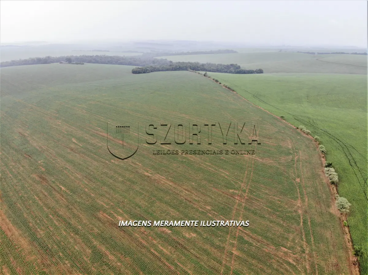 LOTE 001 - UMA FRAÇÃO DE TERRAS COM 12has 60as EM PEJUÇARA/RS