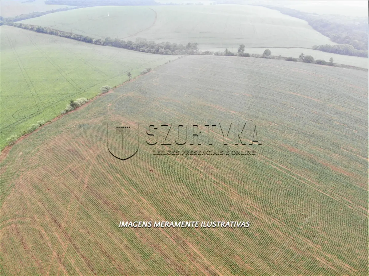 LOTE 001 - UMA FRAÇÃO DE TERRAS COM 12has 60as EM PEJUÇARA/RS