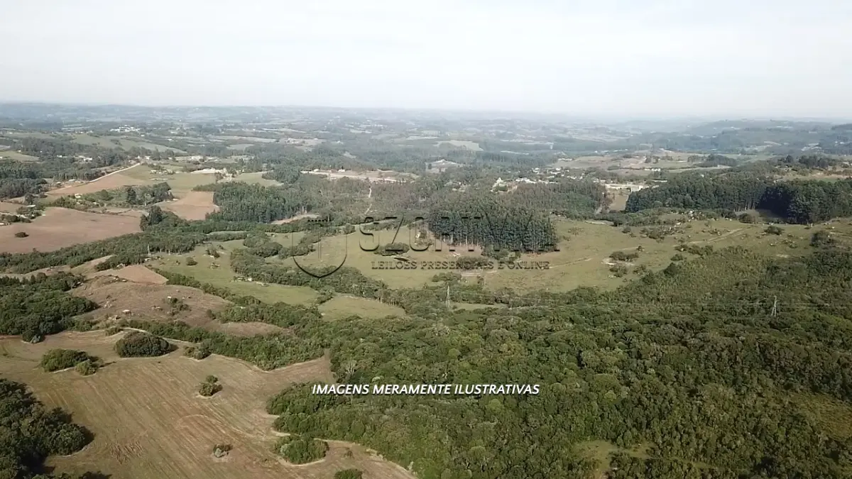 LOTE 000 - UMA FRAÇÃO DE TERRAS DE 20HA EM CANGUÇU