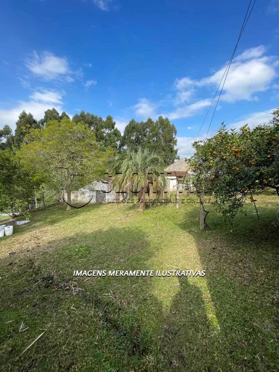 LOTE 001 - UMA FRAÇÃO DE TERRAS COM 4ha.26a.49ca