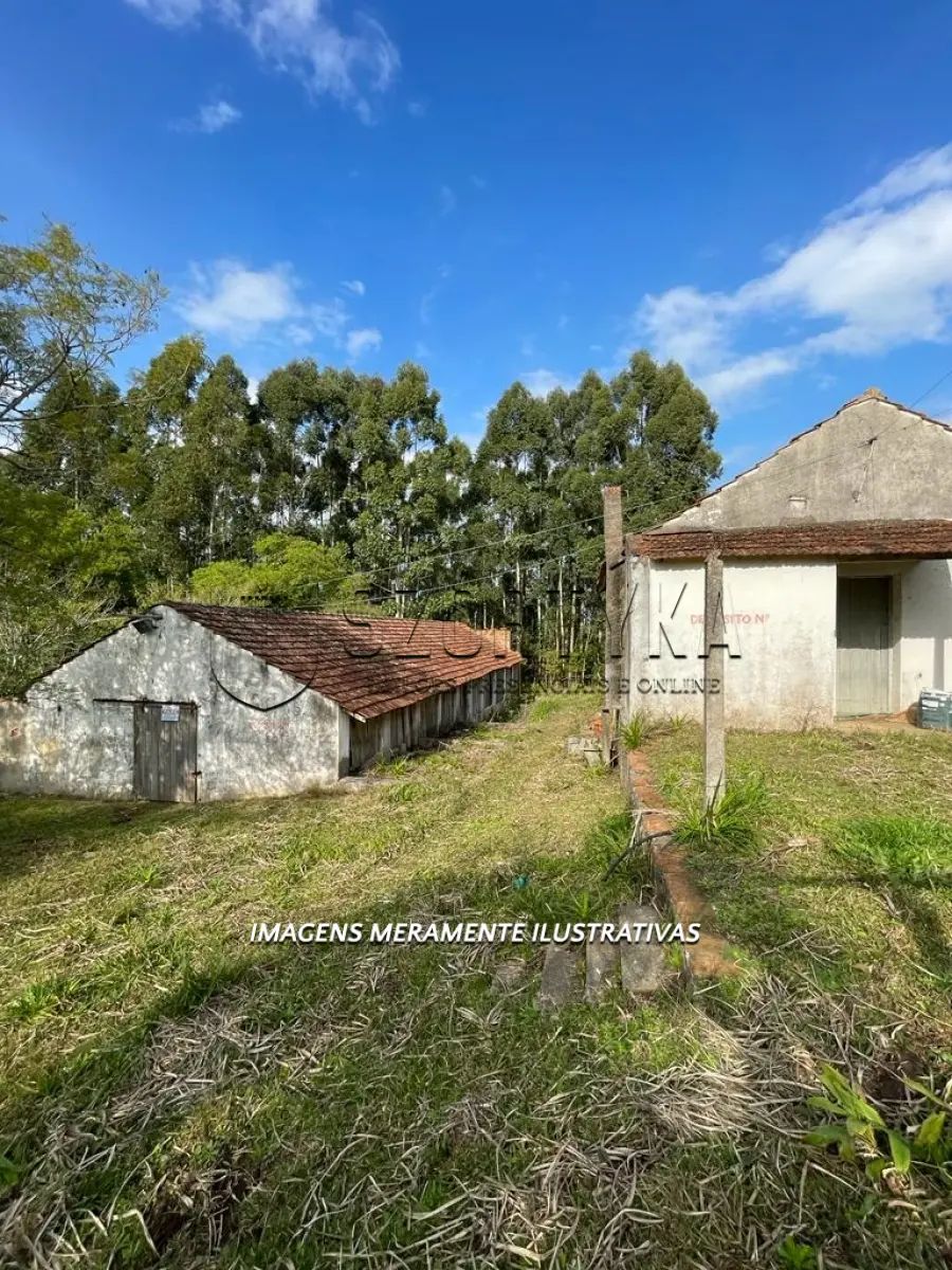 LOTE 001 - UMA FRAÇÃO DE TERRAS COM 4ha.26a.49ca