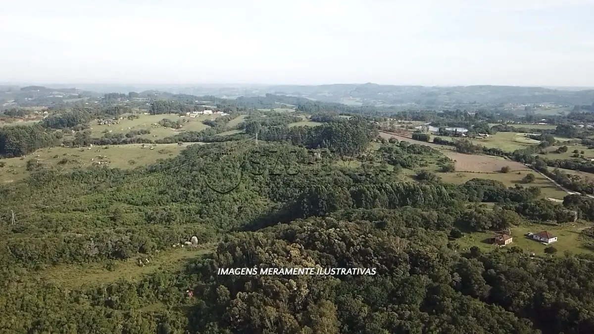 LOTE 000 - UMA FRAÇÃO DE TERRAS DE 20HA EM CANGUÇU