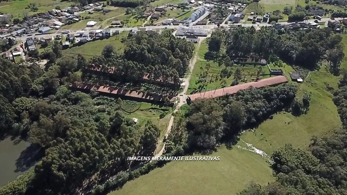 LOTE 006 - INCUBATÓRIO DE  FRANGOS COMPLETO,  COM ÁREA DE 140.004,00M², EM MORRO REDONDO