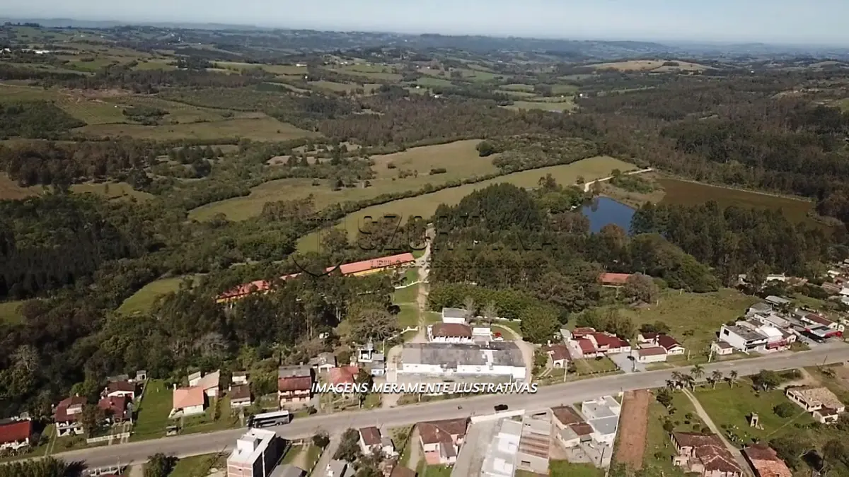 LOTE 006 - INCUBATÓRIO DE  FRANGOS COMPLETO,  COM ÁREA DE 140.004,00M², EM MORRO REDONDO