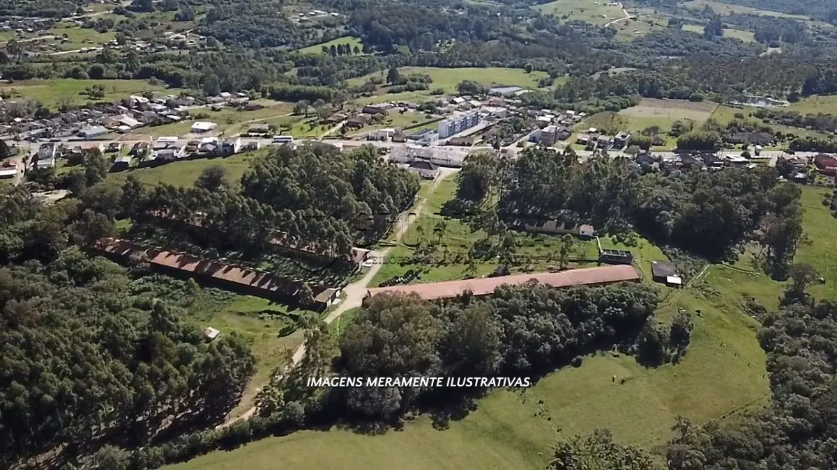 LOTE 006 - INCUBATÓRIO DE  FRANGOS COMPLETO,  COM ÁREA DE 140.004,00M², EM MORRO REDONDO
