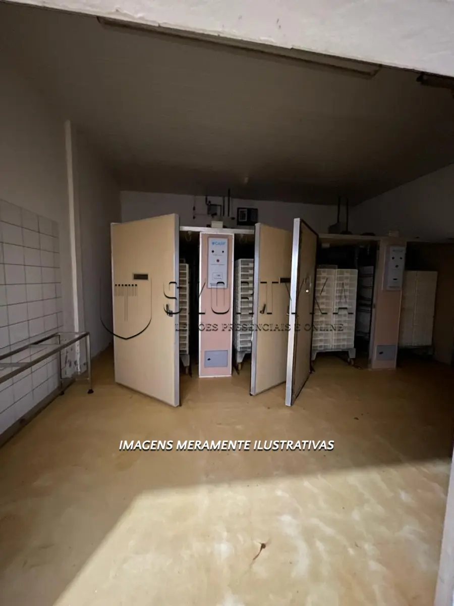 LOTE 006 - INCUBATÓRIO DE  FRANGOS COMPLETO,  COM ÁREA DE 140.004,00M², EM MORRO REDONDO