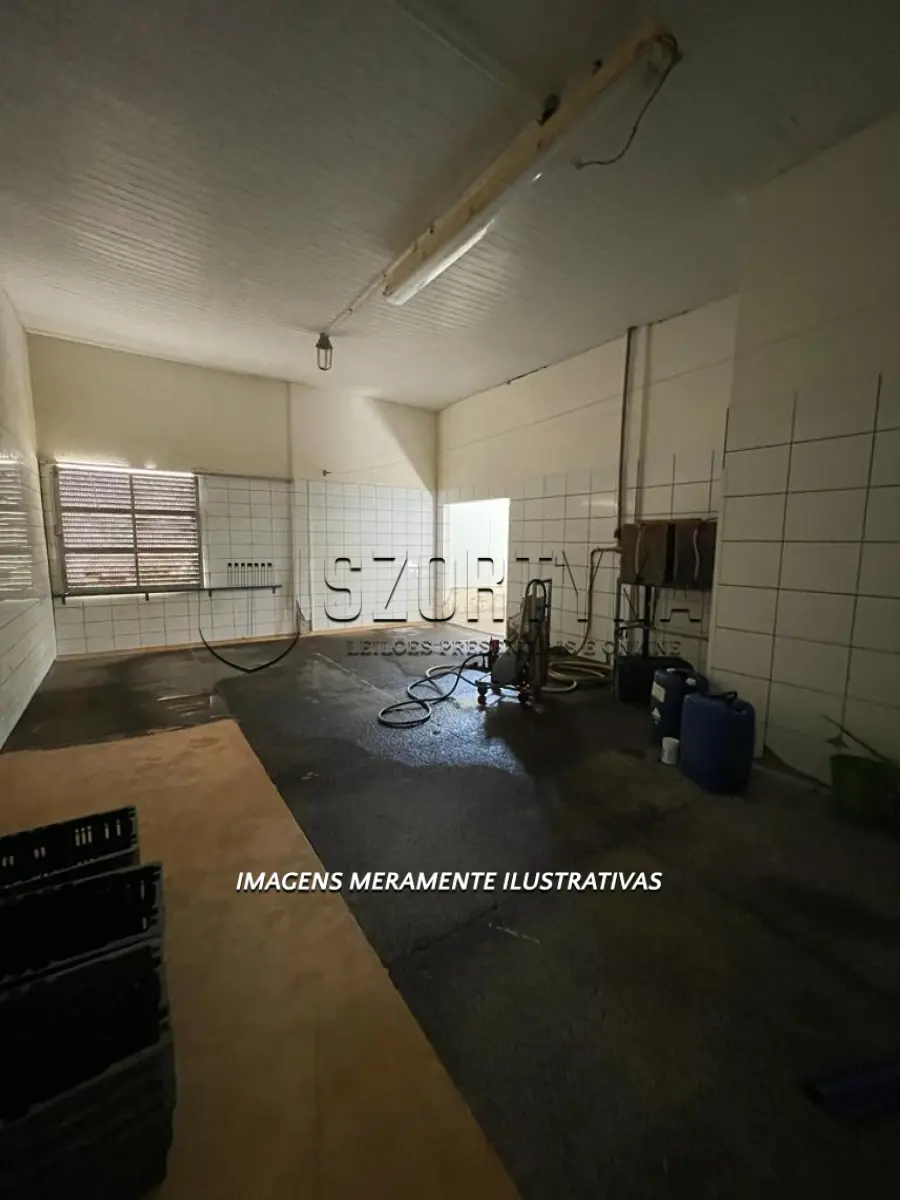 LOTE 006 - INCUBATÓRIO DE  FRANGOS COMPLETO,  COM ÁREA DE 140.004,00M², EM MORRO REDONDO
