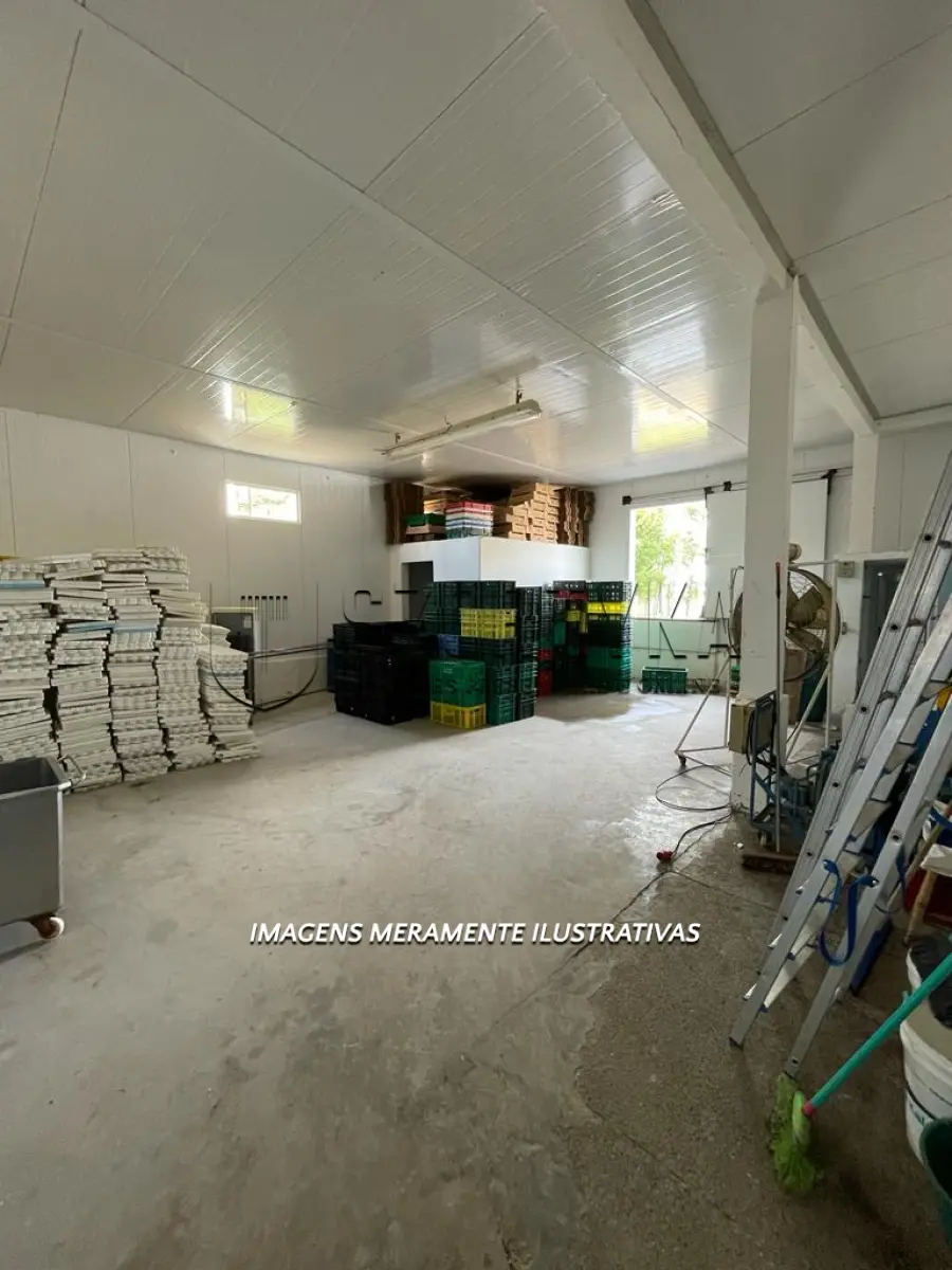 LOTE 006 - INCUBATÓRIO DE  FRANGOS COMPLETO,  COM ÁREA DE 140.004,00M², EM MORRO REDONDO