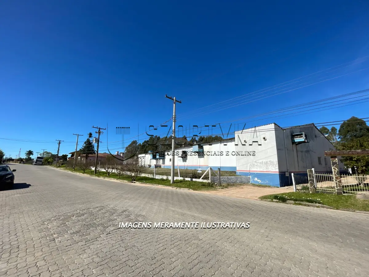 LOTE 006 - INCUBATÓRIO DE  FRANGOS COMPLETO,  COM ÁREA DE 140.004,00M², EM MORRO REDONDO