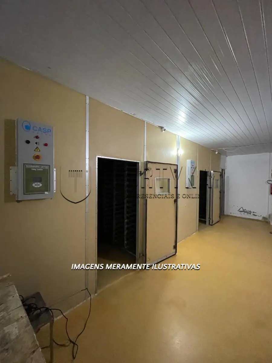 LOTE 006 - INCUBATÓRIO DE  FRANGOS COMPLETO,  COM ÁREA DE 140.004,00M², EM MORRO REDONDO
