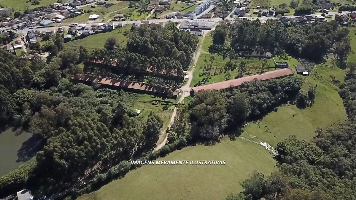 LOTE 006 - INCUBATÓRIO DE  FRANGOS COMPLETO,  COM ÁREA DE 140.004,00M², EM MORRO REDONDO
