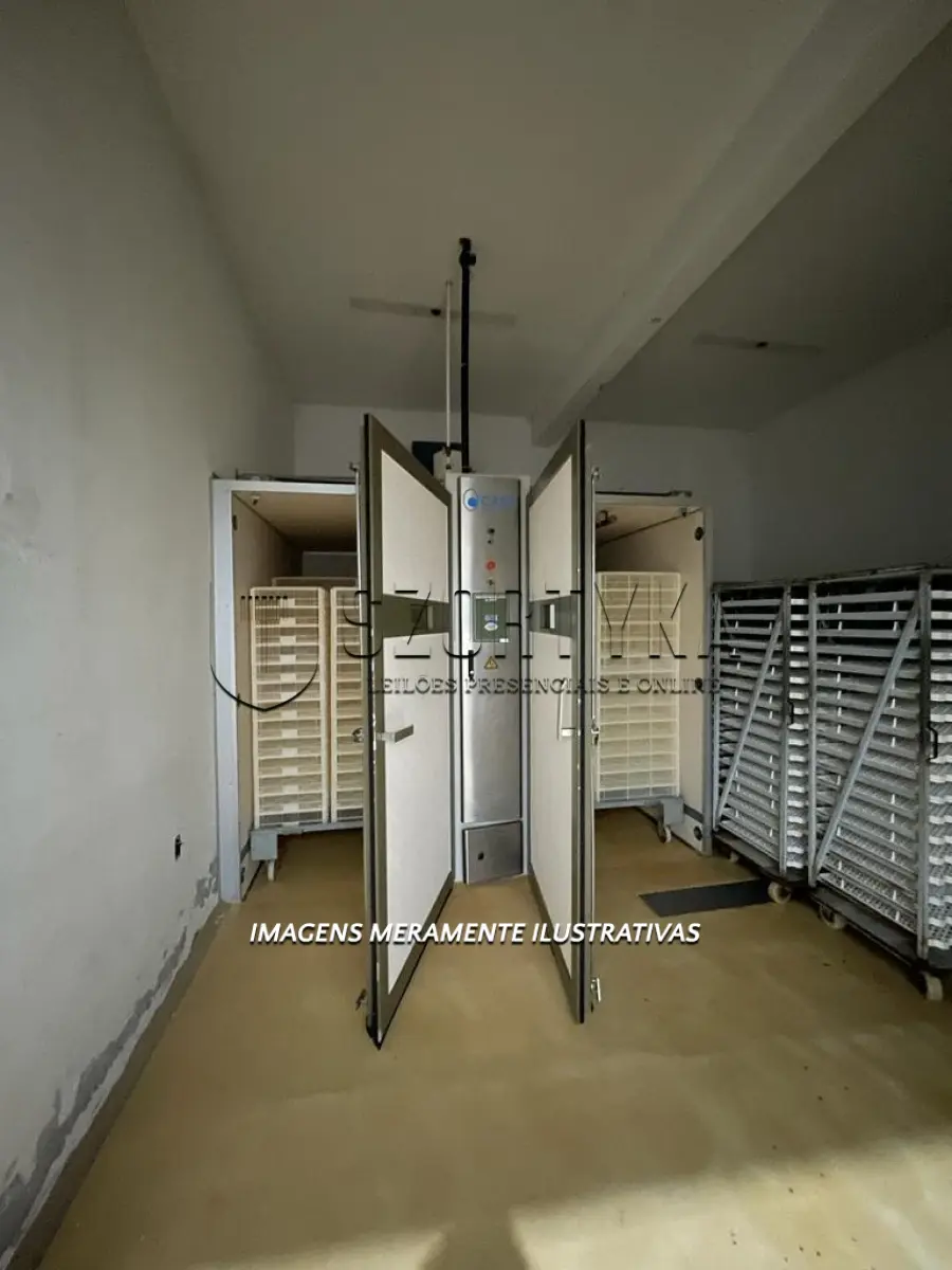 LOTE 006 - INCUBATÓRIO DE  FRANGOS COMPLETO,  COM ÁREA DE 140.004,00M², EM MORRO REDONDO