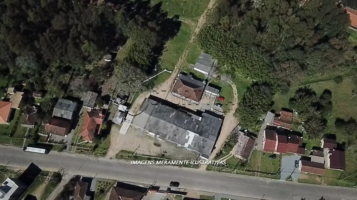 LOTE 006 - INCUBATÓRIO DE  FRANGOS COMPLETO,  COM ÁREA DE 140.004,00M², EM MORRO REDONDO
