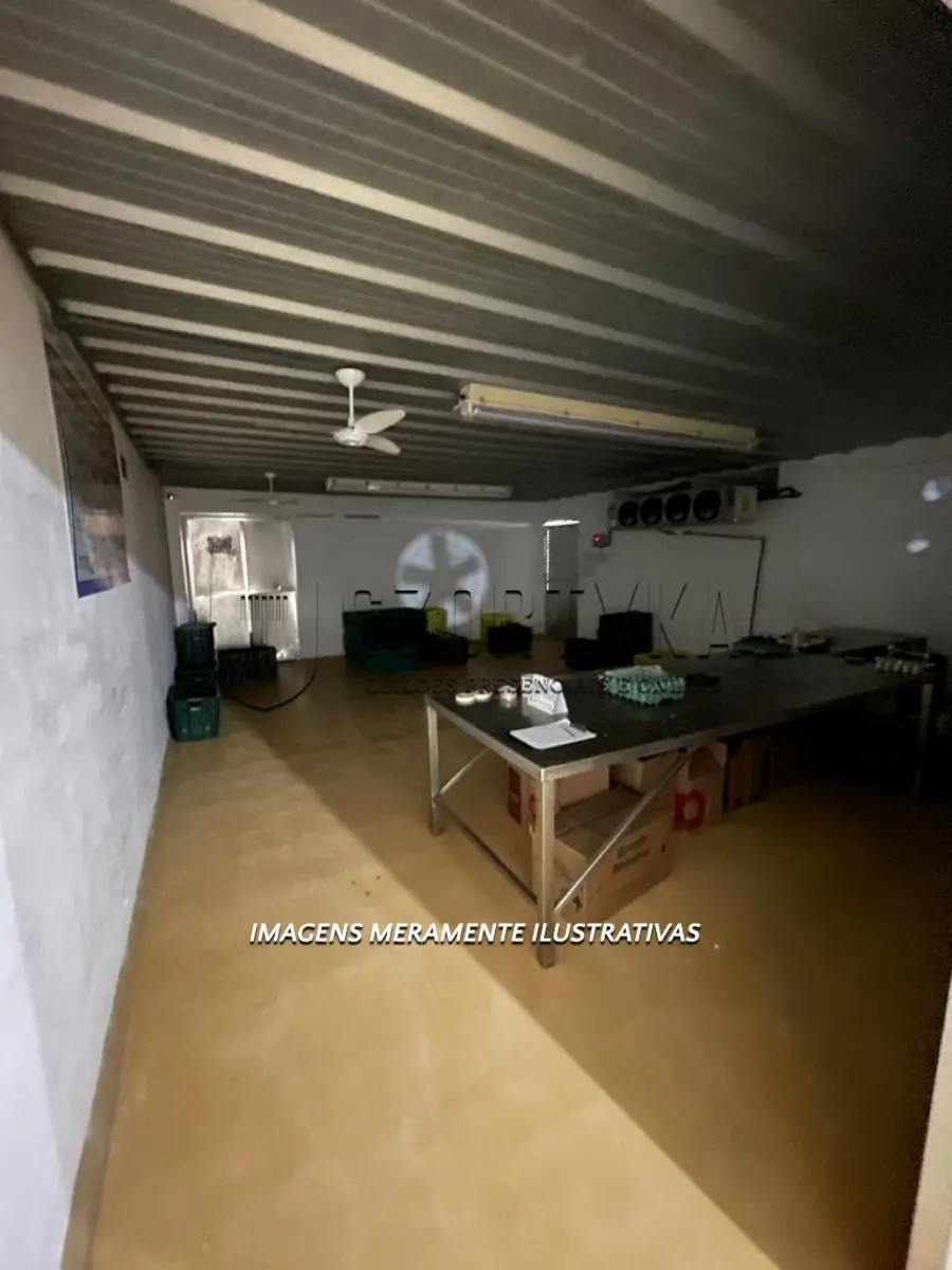 LOTE 006 - INCUBATÓRIO DE  FRANGOS COMPLETO,  COM ÁREA DE 140.004,00M², EM MORRO REDONDO