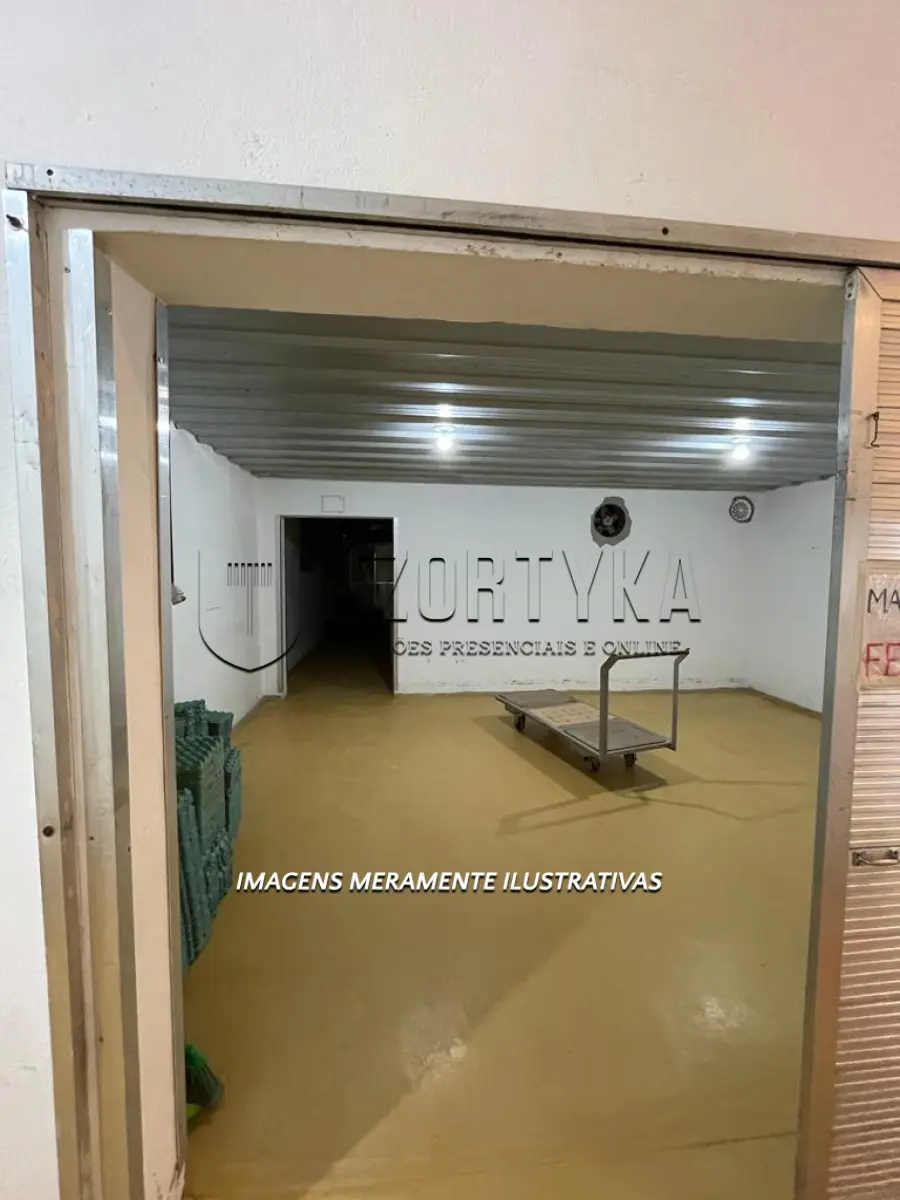 LOTE 006 - INCUBATÓRIO DE  FRANGOS COMPLETO,  COM ÁREA DE 140.004,00M², EM MORRO REDONDO