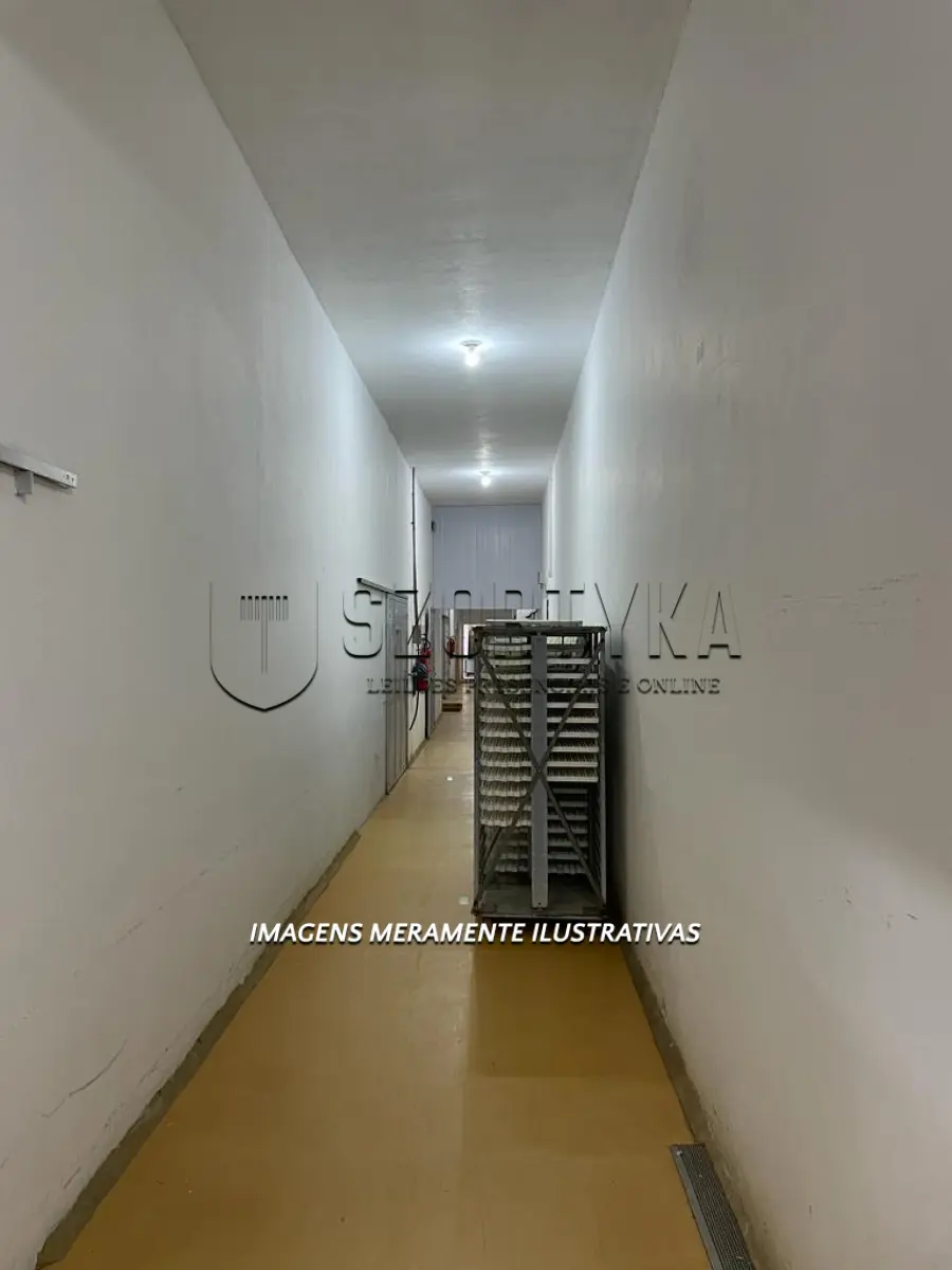 LOTE 006 - INCUBATÓRIO DE  FRANGOS COMPLETO,  COM ÁREA DE 140.004,00M², EM MORRO REDONDO
