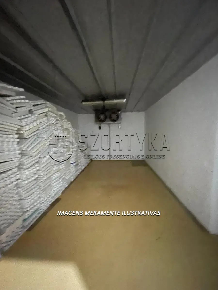 LOTE 006 - INCUBATÓRIO DE  FRANGOS COMPLETO,  COM ÁREA DE 140.004,00M², EM MORRO REDONDO