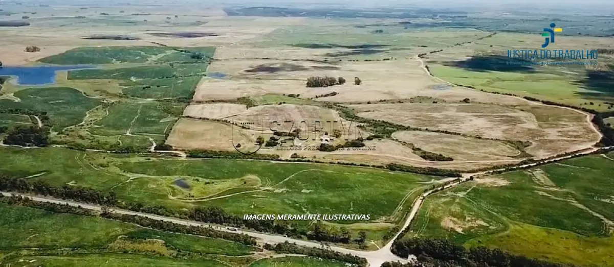 LOTE 001 - UMA FRAÇÃO DE TERRAS COM 26HA EM JAGUARÃO