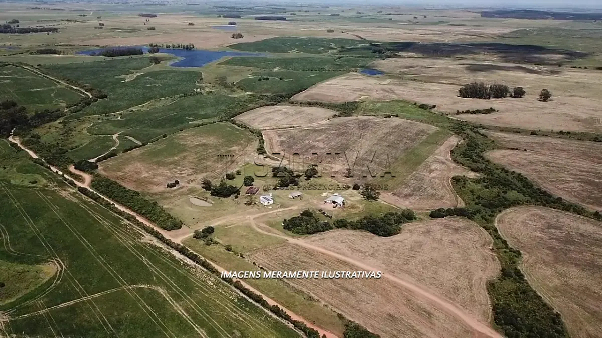 LOTE 001 - UMA FRAÇÃO DE TERRAS COM 26HA EM JAGUARÃO