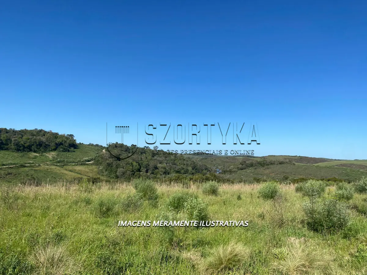 LOTE 001 - FRAÇÃO IDEAL DE 4HA DE UMA FRAÇÃO DE TERRAS