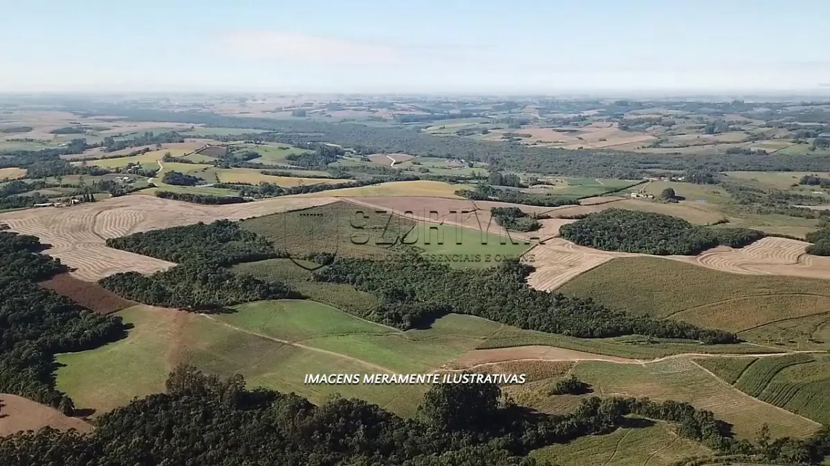 LOTE 001 - UMA ÁREA RURAL COM 38HA SITUADA EM SESMARIA DOS POTREIROS EM SÃO LOURENÇO DO SUL