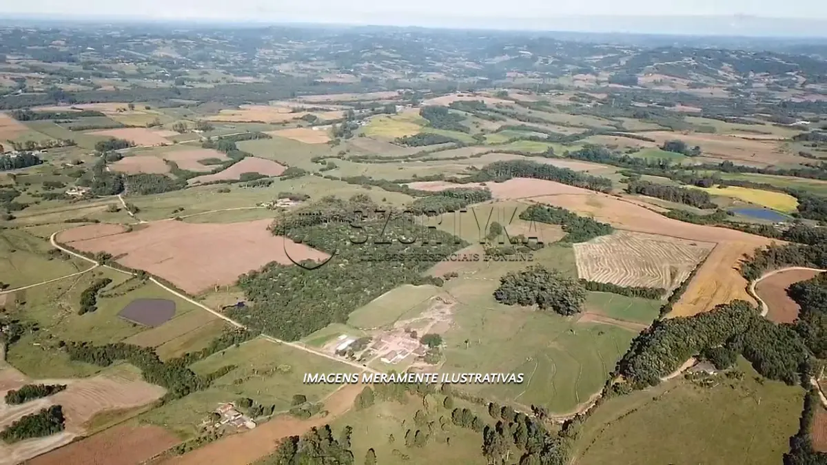 LOTE 001 - UMA ÁREA RURAL COM 38HA SITUADA EM SESMARIA DOS POTREIROS EM SÃO LOURENÇO DO SUL