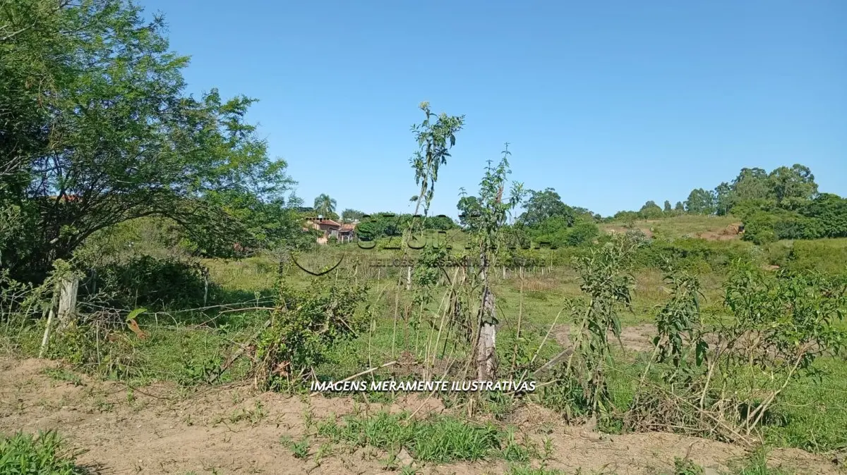 LOTE 002 - A fração ideal de 50% da área de 53.000,67m², melhor descrita na matrícula 13.873 do RI de Santo Antônio da Patrulha.