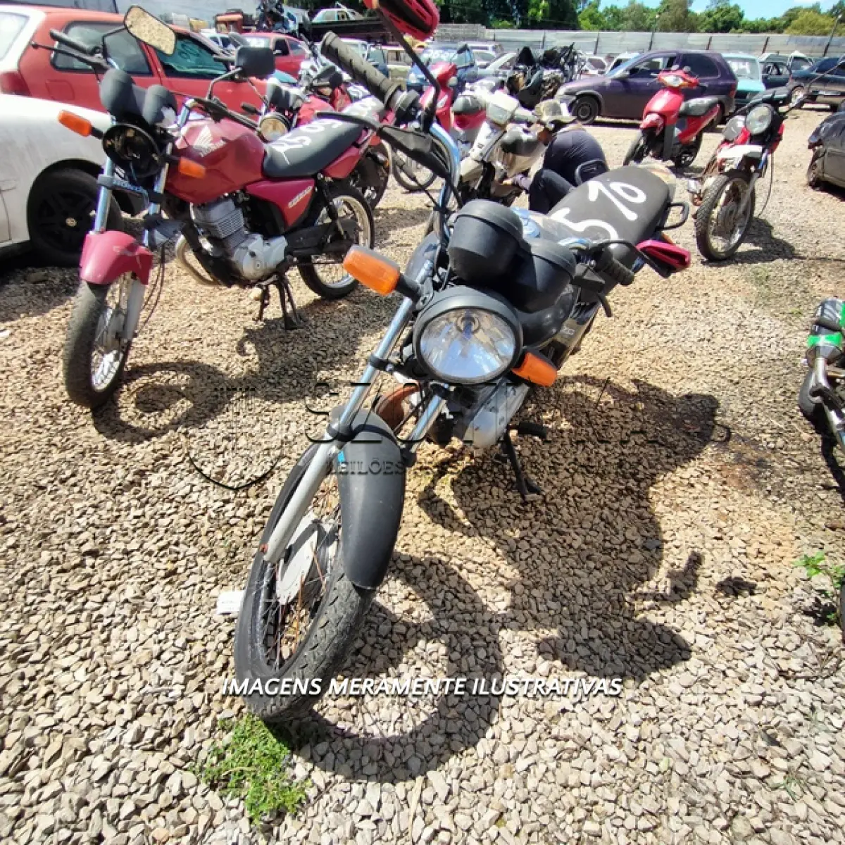 LOTE 0139