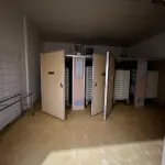 INCUBATÓRIO DE  FRANGOS COMPLETO,  COM ÁREA DE 140.004,00M², EM MORRO REDONDO
