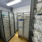 INCUBATÓRIO DE  FRANGOS COMPLETO,  COM ÁREA DE 140.004,00M², EM MORRO REDONDO