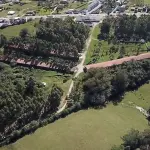 INCUBATÓRIO DE  FRANGOS COMPLETO,  COM ÁREA DE 140.004,00M², EM MORRO REDONDO