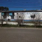 INCUBATÓRIO DE  FRANGOS COMPLETO,  COM ÁREA DE 140.004,00M², EM MORRO REDONDO