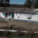 INCUBATÓRIO DE  FRANGOS COMPLETO,  COM ÁREA DE 140.004,00M², EM MORRO REDONDO