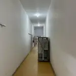 INCUBATÓRIO DE  FRANGOS COMPLETO,  COM ÁREA DE 140.004,00M², EM MORRO REDONDO