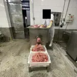 - 01 (UM) MOEDOR DE CARNE,  EM  INOX,  FABRICANTE  CONFRIMAQ
