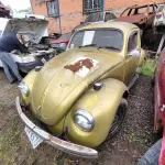 Foto 11