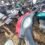 Foto 8