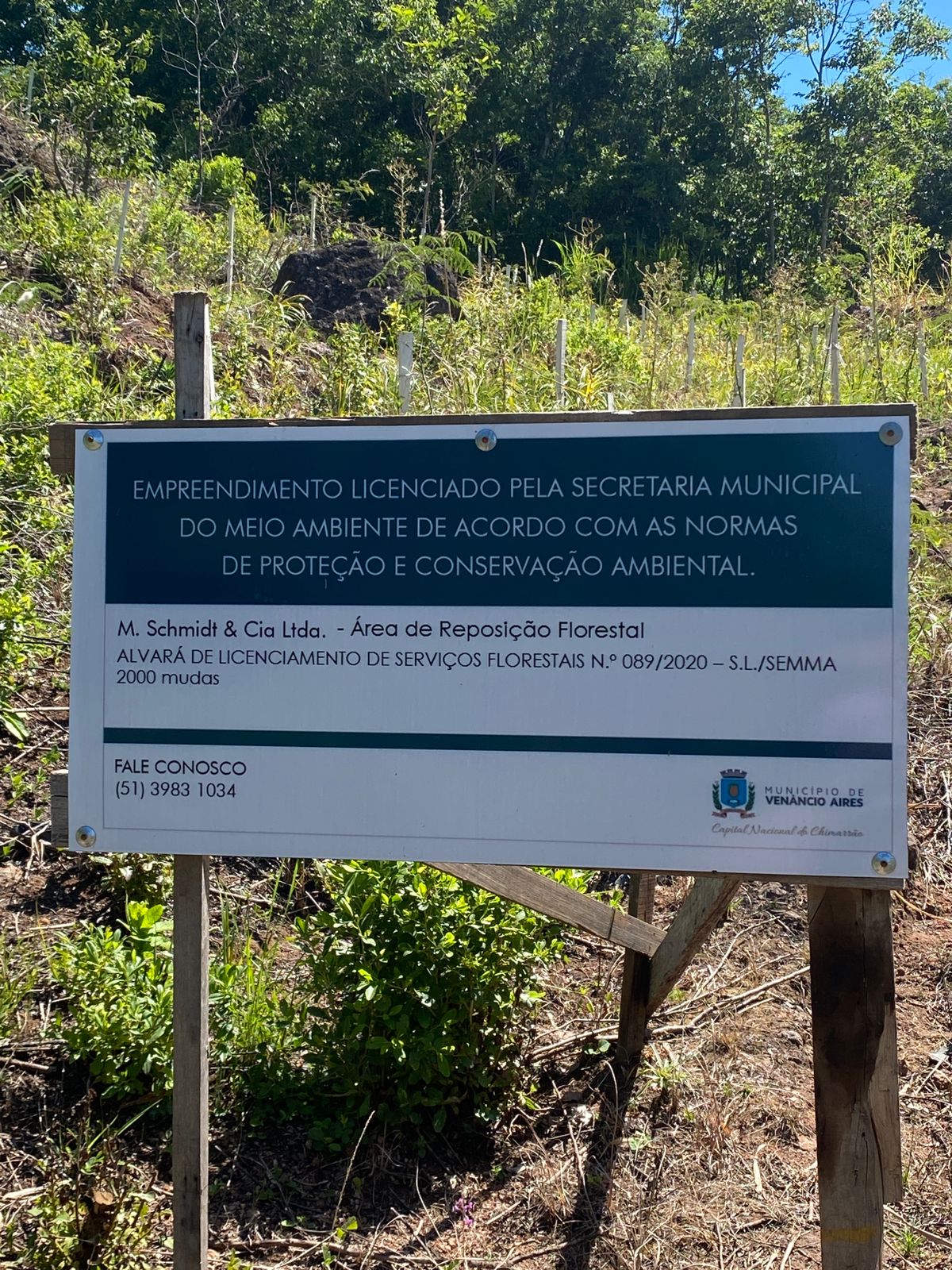 Foto 6