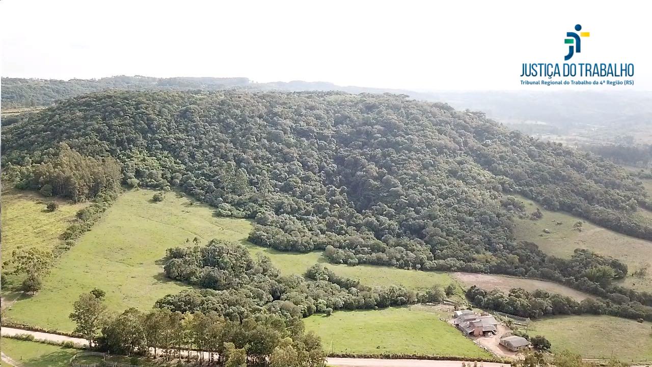 LEILÃO DE 08 HA DE TERRA EM DOM FELICIANO
